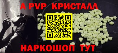 спайс Гай