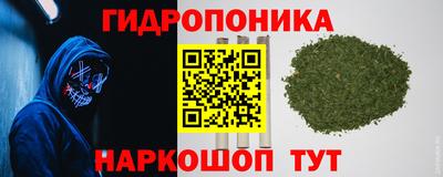 спайс Гай