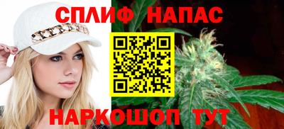 спайс Гай