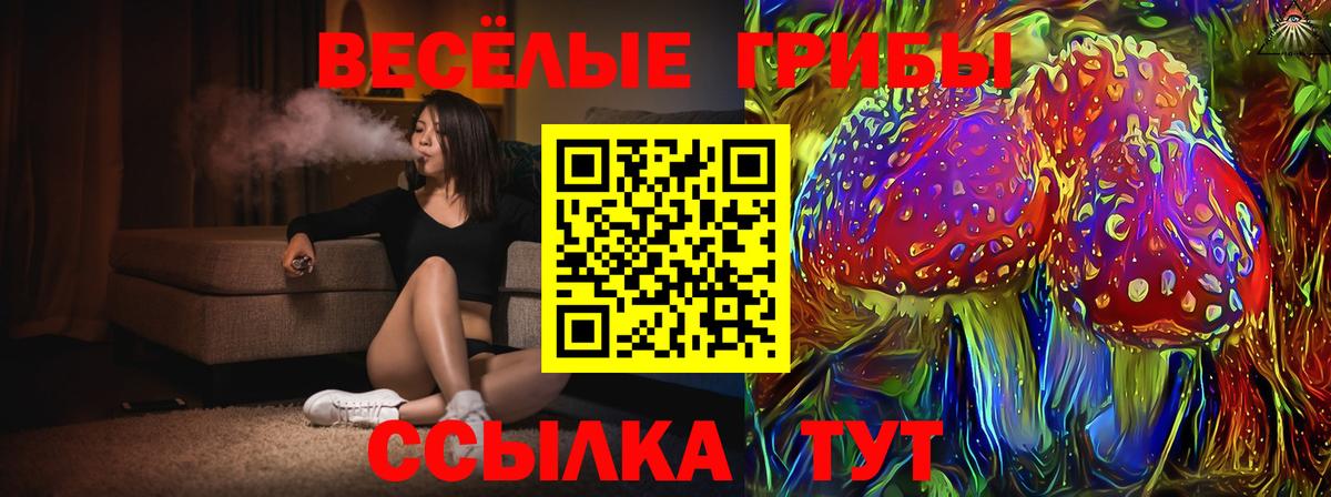 Галлюциногенные грибы GOLDEN TEACHER  где купить наркоту  Камышин  Вход с VPN 