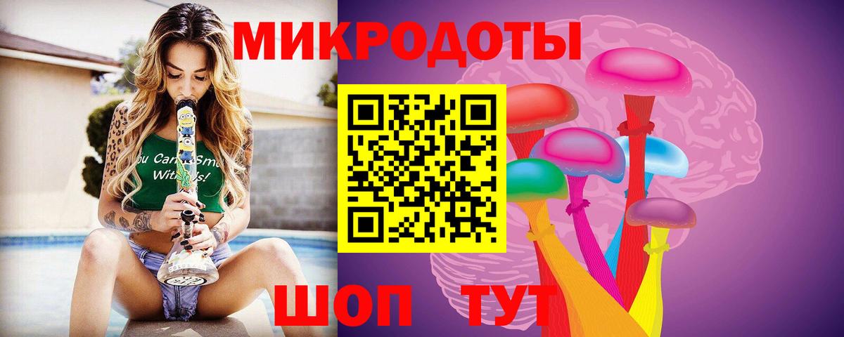 Галлюциногенные грибы Cubensis Камышин